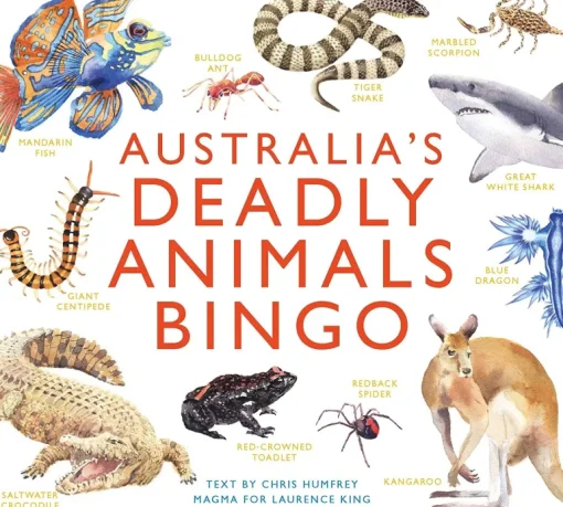Brumby - Bingo - Australia's Deadly Animals