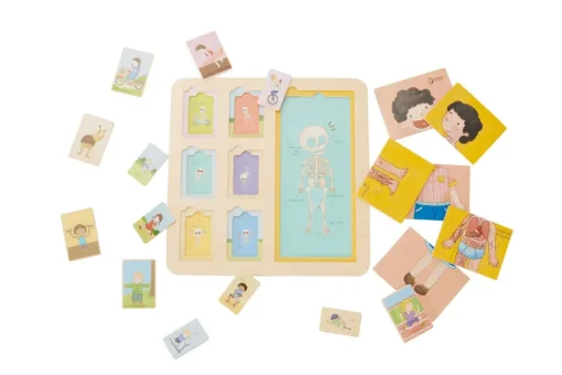 Classic World - Body Puzzle