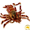 Huggable - Corney Crayfish 32cm