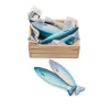 Le Toy Van - Honeybake Fresh Fish