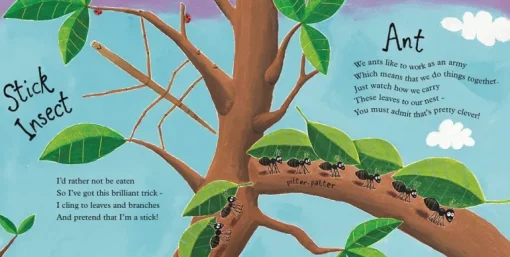 Mad About Mini Beasts (Board Book)