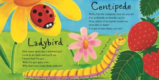 Mad About Mini Beasts (Board Book)