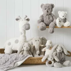 Pilbeam - Plush Teddy