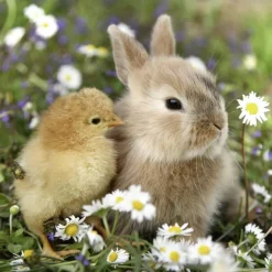 Ravensburger - 3 x 49Pc Cute Bunnies Puzzle