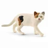 Schleich - American Shorthair Cat
