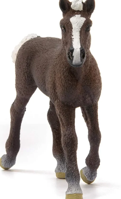 Schleich - Black Forest Foal
